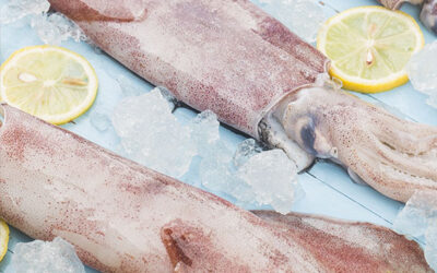 Abbinamento Malva e pasta fredda con calamari