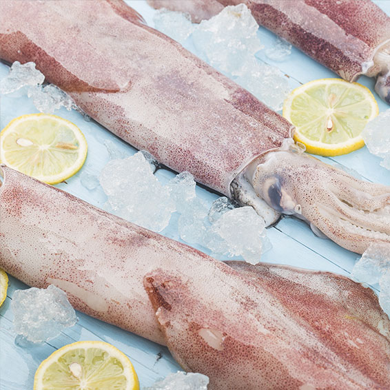Abbinamento Malva e pasta fredda con calamari