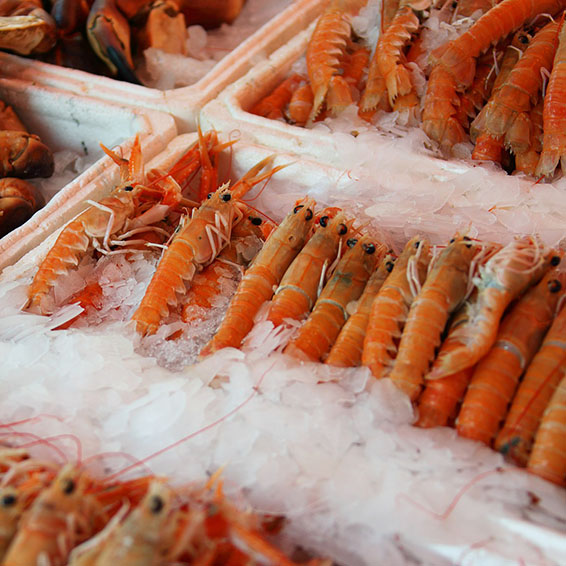 2 idream 2207 gamberoni idream wine