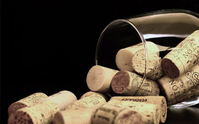 I difetti del vino – quelli “base”