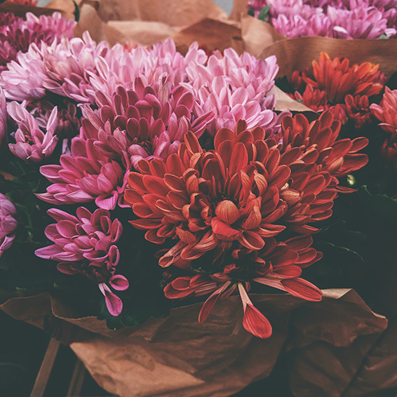 3 idream 0601 idream wine